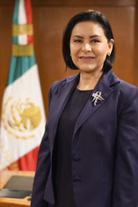 Consejera Lilia M&oacute;nica L&oacute;pez Ben&iacute;tez